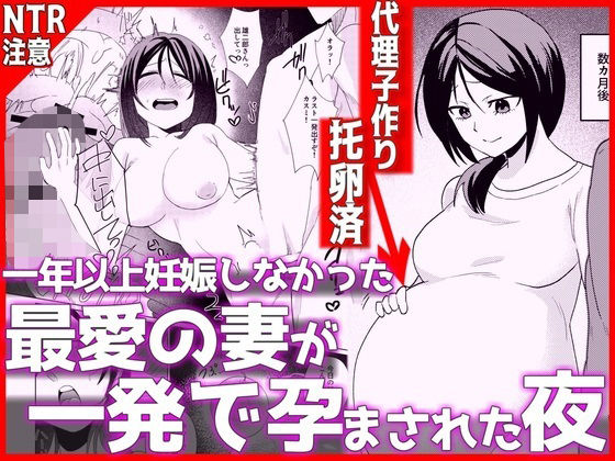 1年以上妊娠しなかった最愛の妻が一発で孕まされた夜 エロ漫画（d_798372）